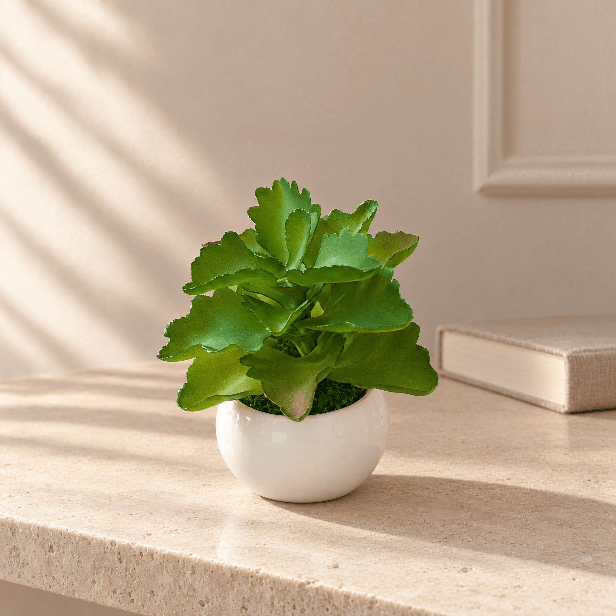 Green Faux Succulent in Round White Pot