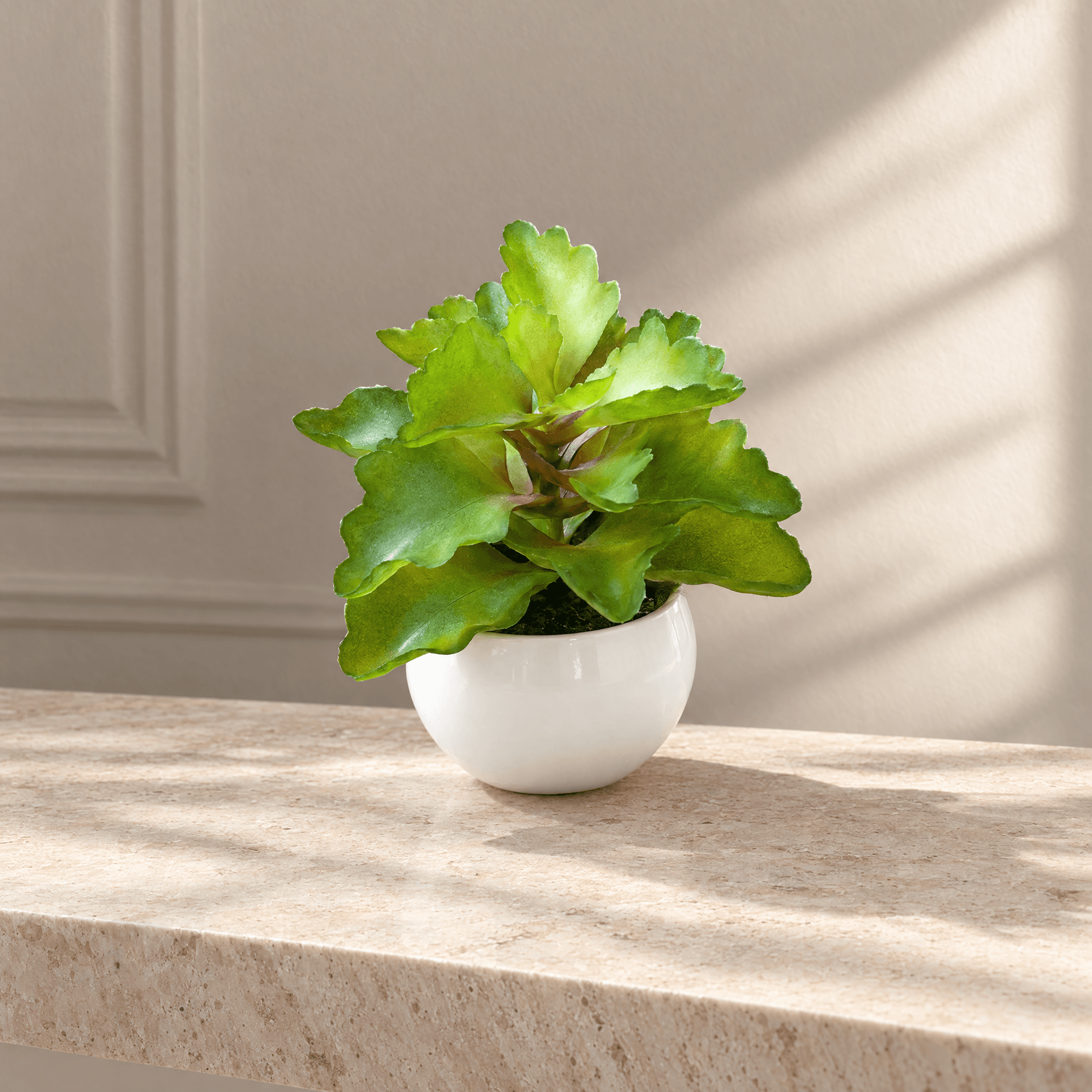 Fresh Green Faux Succulent in Round White Pot