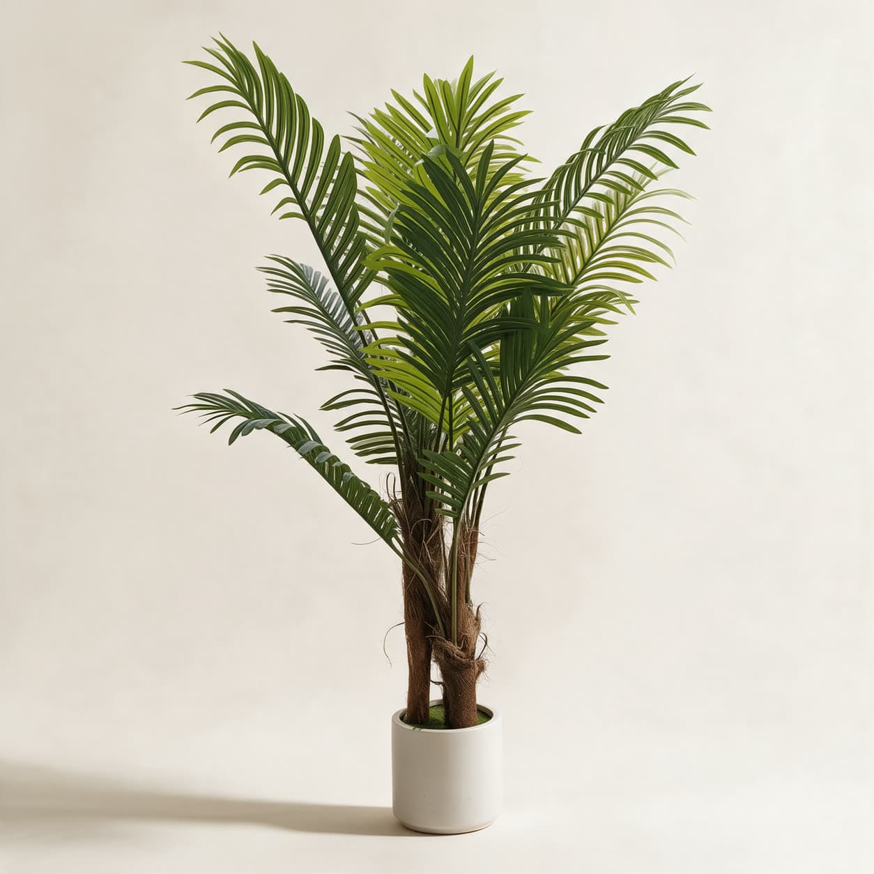 Artificial areca palm about 1.5 metres tall with arching feathered green fronds and fibre-wrapped trunks, in a white ceramic planter on a warm off-white background