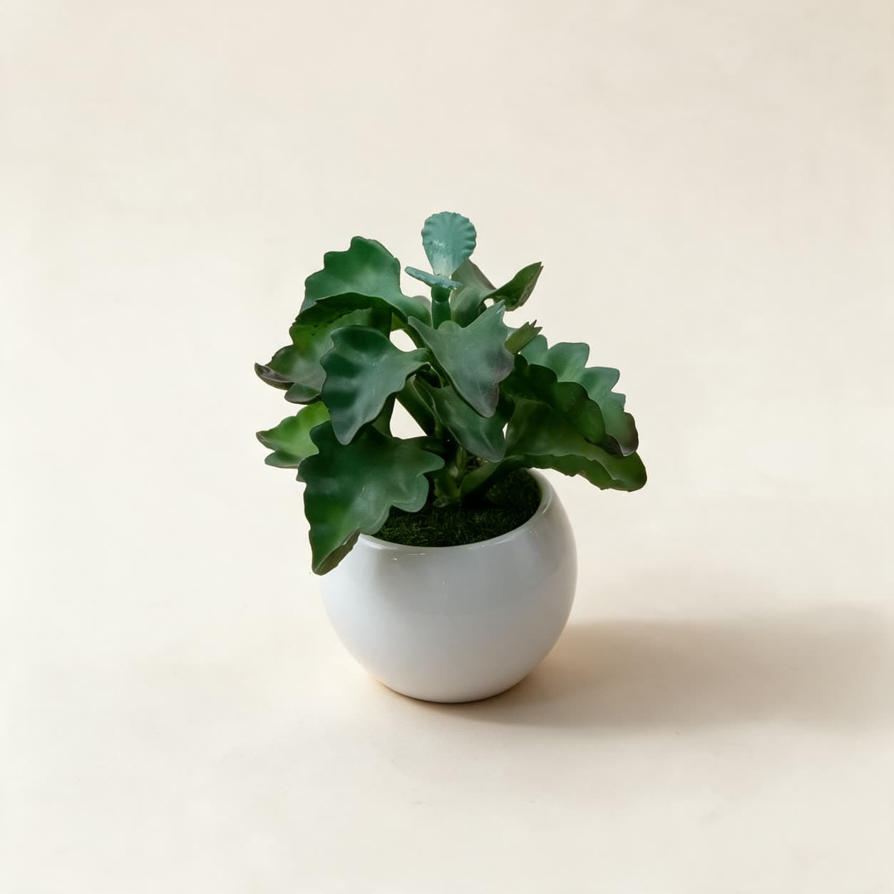 Small artificial green plant with thick wavy-edged leaves in a round glossy white ceramic pot, on a warm off-white background