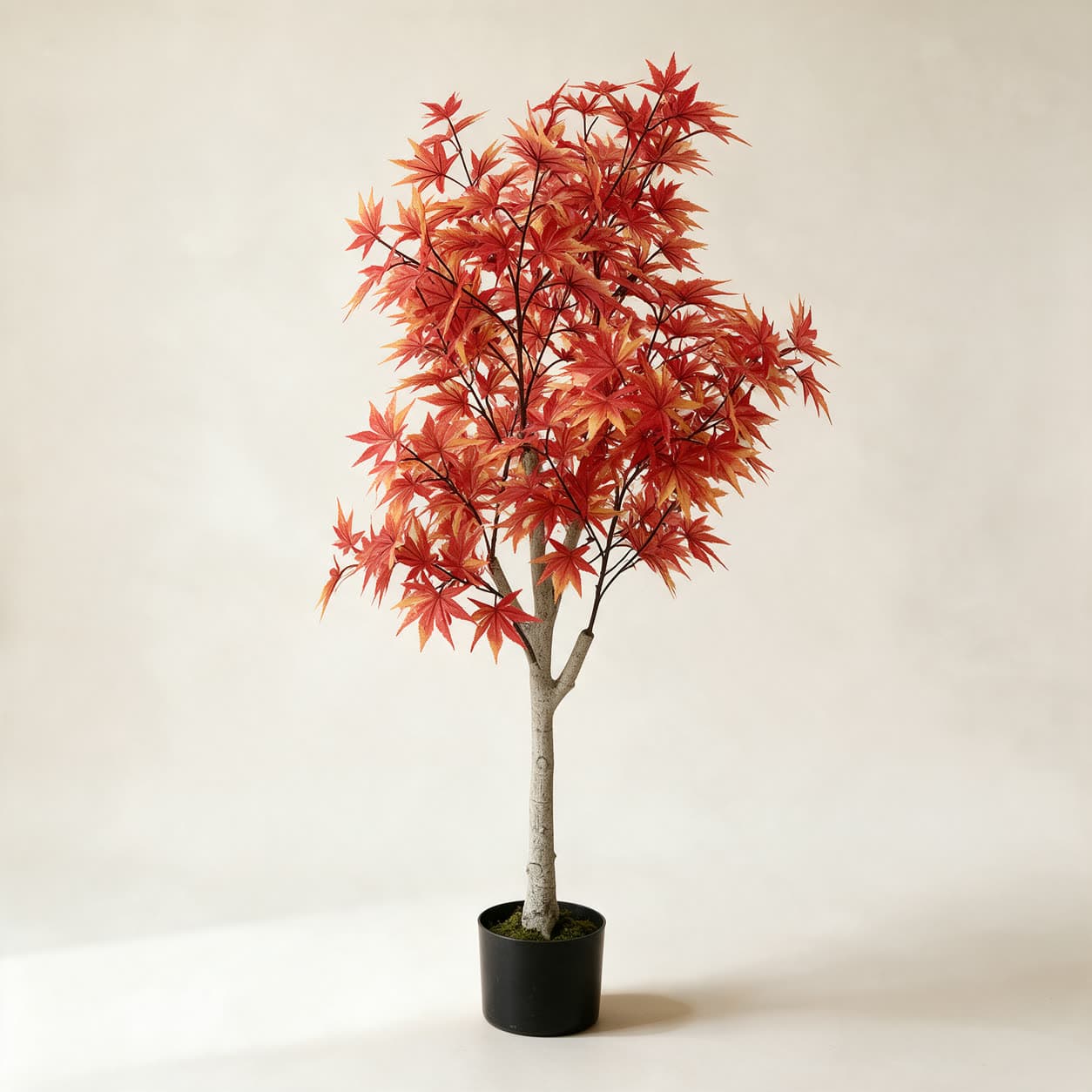 Artificial Japanese maple tree with small deeply lobed leaves in red and amber on fine branches, in a black pot on a warm off-white background