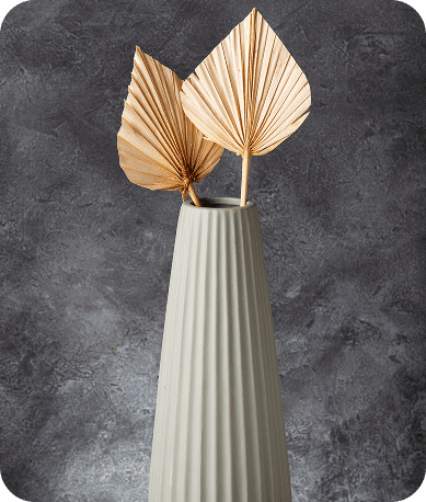 Eucalyptus Stem Bundle